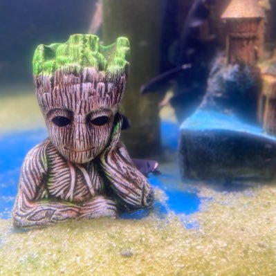 vishwaroopa1716's profile picture. 📈 Trader since 2020 🧠 Simple Price Action 🚀 Daily BTC & Crypto Levels 📊 1H Chart Analysis 👇 Follow my journey