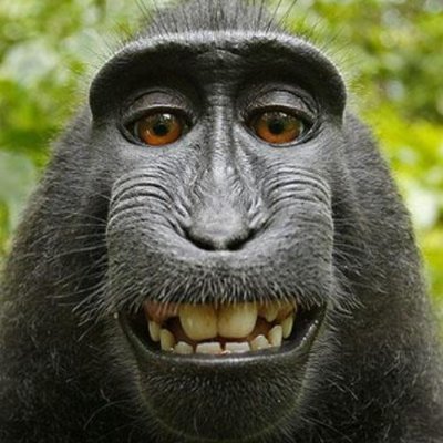 V20Pedro's profile picture. 