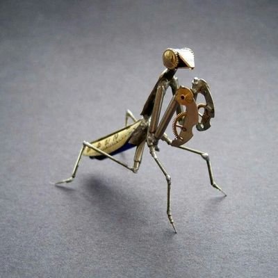 Avicularia0's profile picture. 