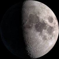 Nilenight (@nile_night) 's Twitter Profile