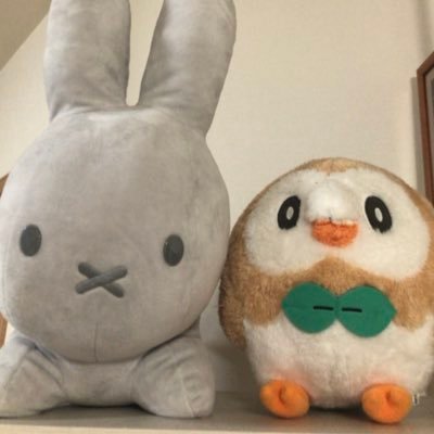 mokurou_kun's profile picture. 🐼🐻クマとパンダ服🌽🦉vikendi⛄🤡C5S15DUO征服者🏅野良でも挨拶大事に⭐Xiaomi pad 6s pro📱モンスト ワンスヒューマン👌 日常垢→ @hide_moku ワンスヒューマン→ @oncemokuro