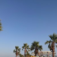 A (@a8919725230002a) 's Twitter Profile