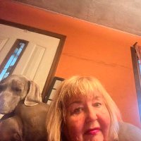 Ann R Carter (@rcarter53348) 's Twitter Profile