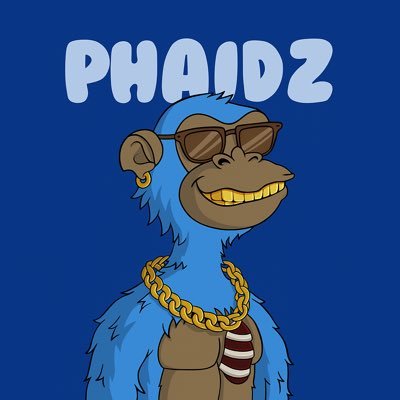 SolPhaidz's profile picture. Meme coin hunter 🐸💰 | Rug survivor | WAGMI 🚀