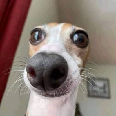 고さんのプロフィール画像