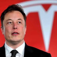 ELON (@muskyle7) 's Twitter Profile