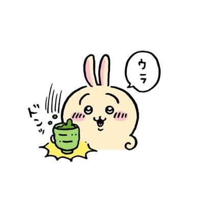 sora_202f55's profile picture. 