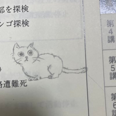 na__nato14's profile picture. 対ピンチA