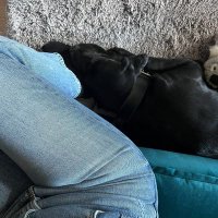 Hunky Sluppy (@hunkyslutt) 's Twitter Profile