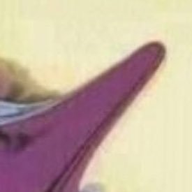 tomotomoSOX's profile picture. 