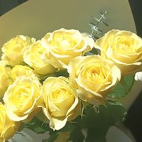 weiivol (@weiivol) 's Twitter Profile