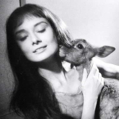 vz_koug's profile picture. KOUG 🃏☔️