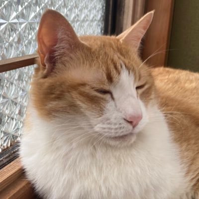 20250713start's profile picture. 03