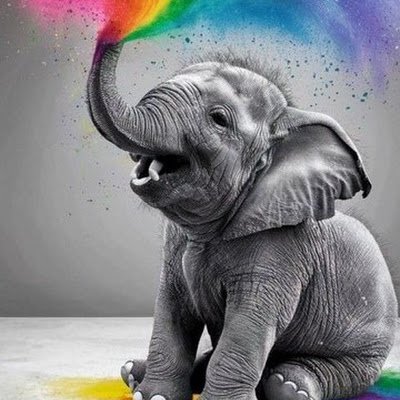 Gom721Javix's profile picture. 