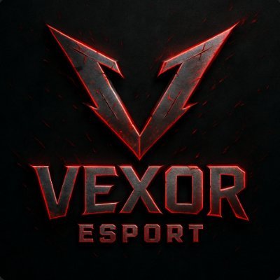 VCGNVexor's profile picture. Ein CommunityTeam von @vivacgn