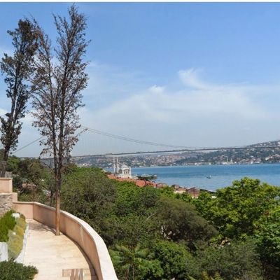 vid77405's profile picture. 