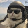 muratceyhunnn's profile picture. iOS Developer