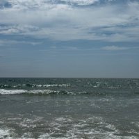 Jesse Ferguson (@jessefe33590455) 's Twitter Profile