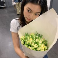 anisa (@serenitass) 's Twitter Profile