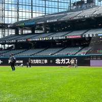 ほりお (@q4ysy) 's Twitter Profile