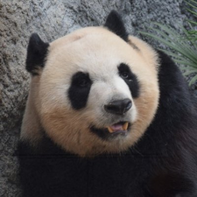 skkmusic's profile picture. 少ない休日を使って、旅心の趣くままに漂泊する性癖　タイ、台湾、中国、ラオス等