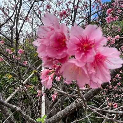 沖縄.名護でメンズエステといえば【どエロいマッサージ店@名護】名護初!出張型メンズエステです❤️プロによる研修終了後磨き上がったセラピスト達が極上のサービスをお届けします。