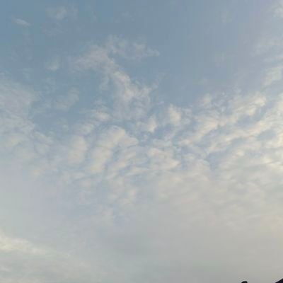 MoNo096186's profile picture. 