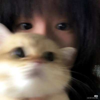ReAchcm09p's profile picture. 下記のサーバーで配布中!
https://t.co/b9ZjapmfYc