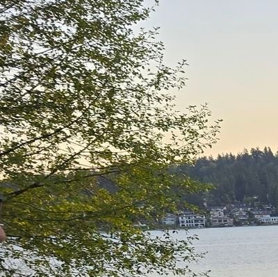 sftninja's profile picture. Travelling