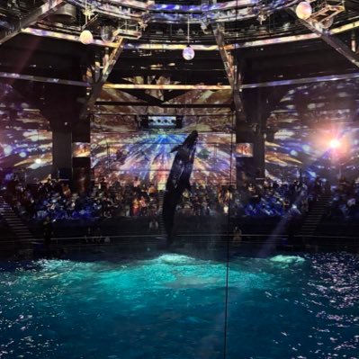 genkinabaito's profile picture. 引きこもり。 ツイ廃。 ただのオタク。自分が考えたことを消化するための壁打ち垢。無言FR失礼します。猫と水族館が好き。