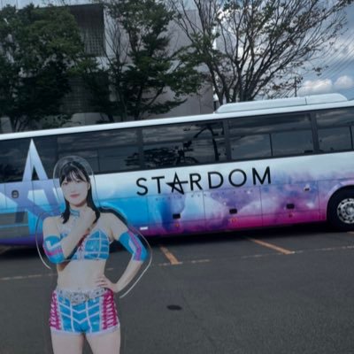 スターダム応援してます! SLK🐯ネオジェネ‼️ さくらあや🌸コズエン カードパーティTsporhOxP2