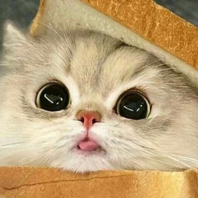 urekauwu's profile picture. ปัญหารุมเด้า แต่ยังคงแต่งฟิค