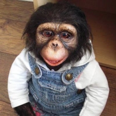Small Ape Big Dreams. The Biggest CTO on Cardano
ID:fc7b6e61bf3f1c7efdff436650e5b355f6659c03e2ee3ca279ddcb0a48414e4b