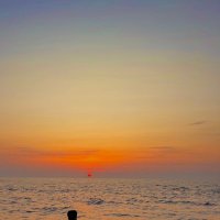 神様仏様 (@2zozkwszfx1923) 's Twitter Profile