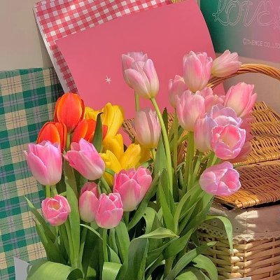 💐🧸✨️🌷🌻🍄🪞
Suka ngejournal, scrapbook, penpal