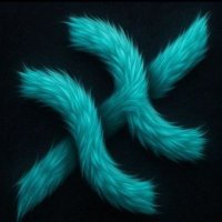 varelaPT (@varelapt) 's Twitter Profile