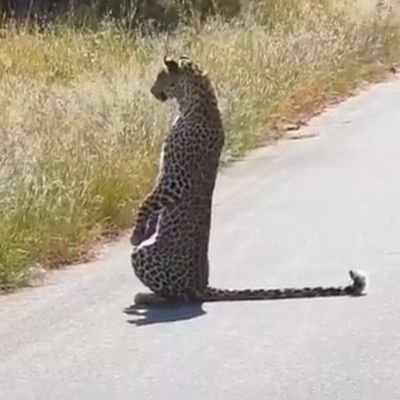 AyushSi75946239's profile picture. cant write good bio !!!
🙃