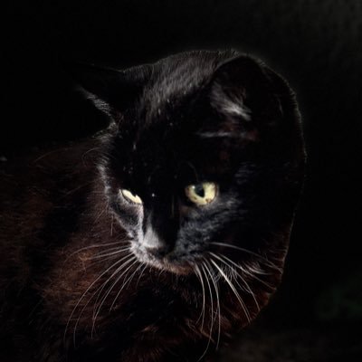 MT90240623's profile picture. „Jeder ist jemand.“ (George Tabori). @tantekaethe bsky