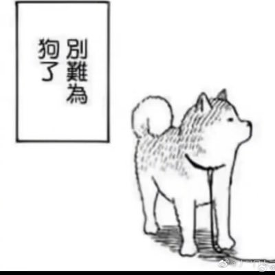 daily4u_'s profile picture. Real Me│中国人 Eng○ 18↑ 交友大欢迎