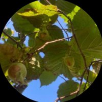 Yorgunadam3 (@yorgunadam_3) 's Twitter Profile