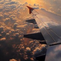 ★ƒℓαт★ (@itsflat_kite00) 's Twitter Profile Photo