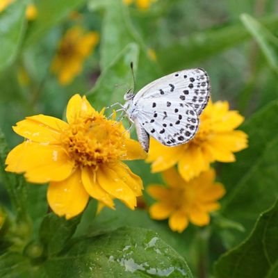 oniyanmaさんのプロフィール画像