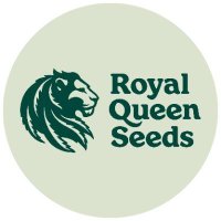 Royale Qweens Seadx (@ruyakqweenseedx) 's Twitter Profile