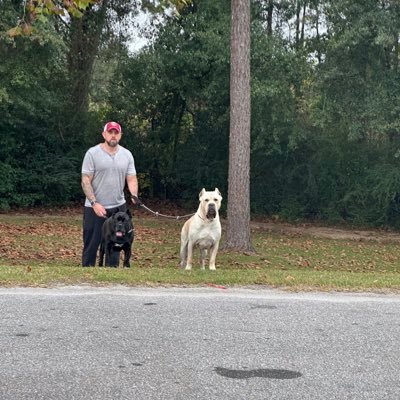 AlexRichte53466's profile picture. 