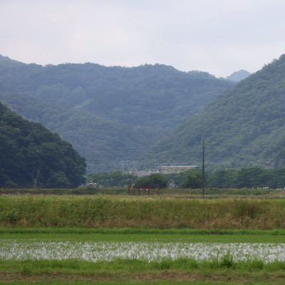 GPFlkWEVMi8543's profile picture.