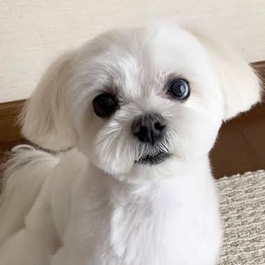 高ランク🚗 20目指したい人と🛀が得意 あと撮影系も超強い📷✉️ https://t.co/UGJMjbf9b8