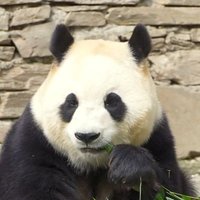 J (@jerompowe46391) 's Twitter Profile