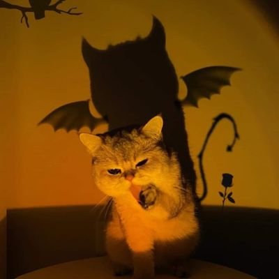 ibys44taamstyle's profile picture. Can you see around the world yourself.