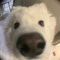원 (@loxeyouverymuxh) 's Twitter Profile