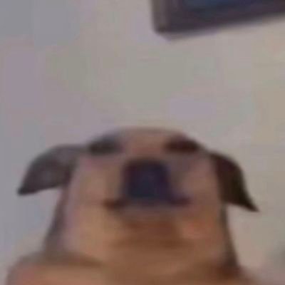 auntieslayer44's profile picture. 